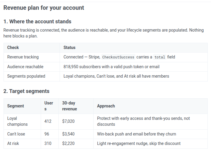 AI Assistant's account audit confirming revenue tracking and reachable audience, followed by a target-segment table
