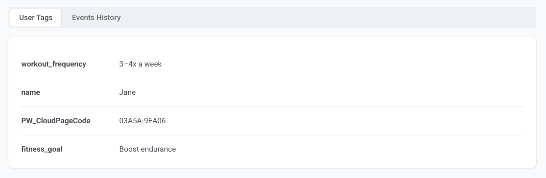 Contact profile in User Explorer showing custom tags saved after form submission