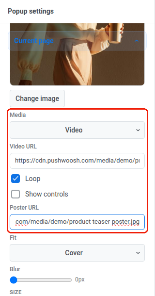Leiste für Popup-Einstellungen, bei der Medien auf Video eingestellt ist und die Felder Video-URL, Schleife, Steuerelemente anzeigen und Poster-URL angezeigt werden