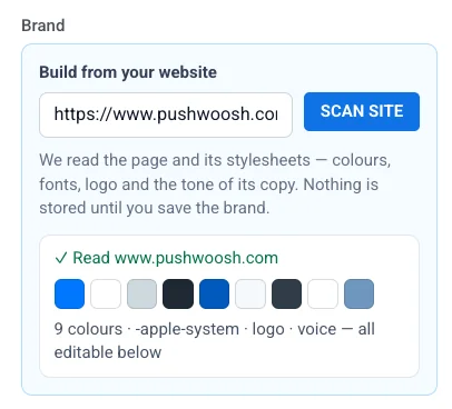 The Build from your website panel in Brand book, with a scanned palette read from the site