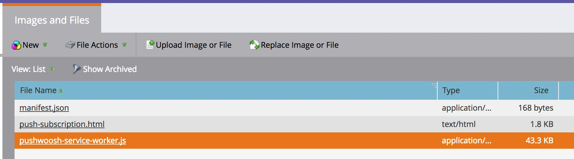 上传到 Marketo Images and Files 文件夹的文件