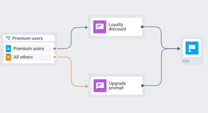 针对高级订阅者和其他用户的条件分支流程示例