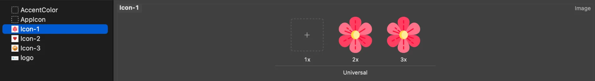 Xcode assets catalog showing three different app icons for dynamic icon switching