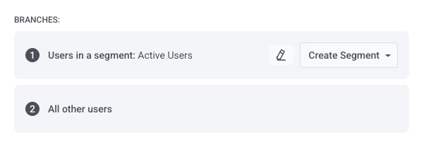 Branches section showing Users in a segment and All other users paths in Condition split configuration