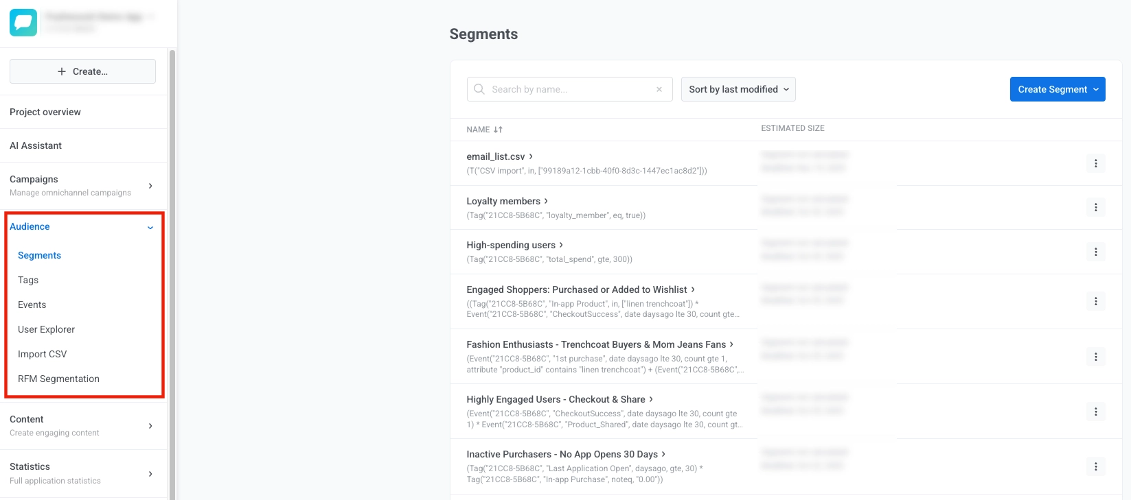 Audience section in sidebar: expandable menu with Segments, Tags, Events, User Explorer, Import CSV, and RFM Segmentation