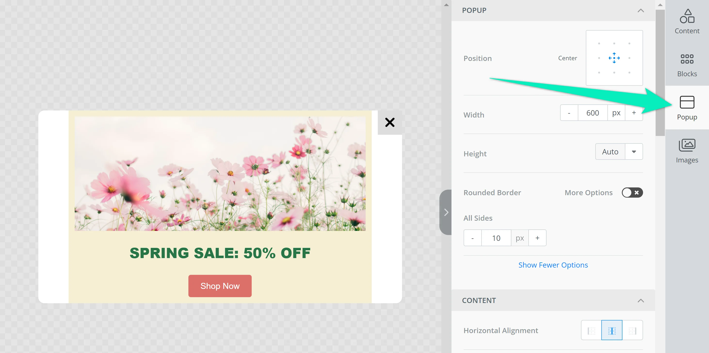 Всплывающее окно общих настроек шаблона, показывающее опции положения, размеров, стилизации и кнопки закрытия