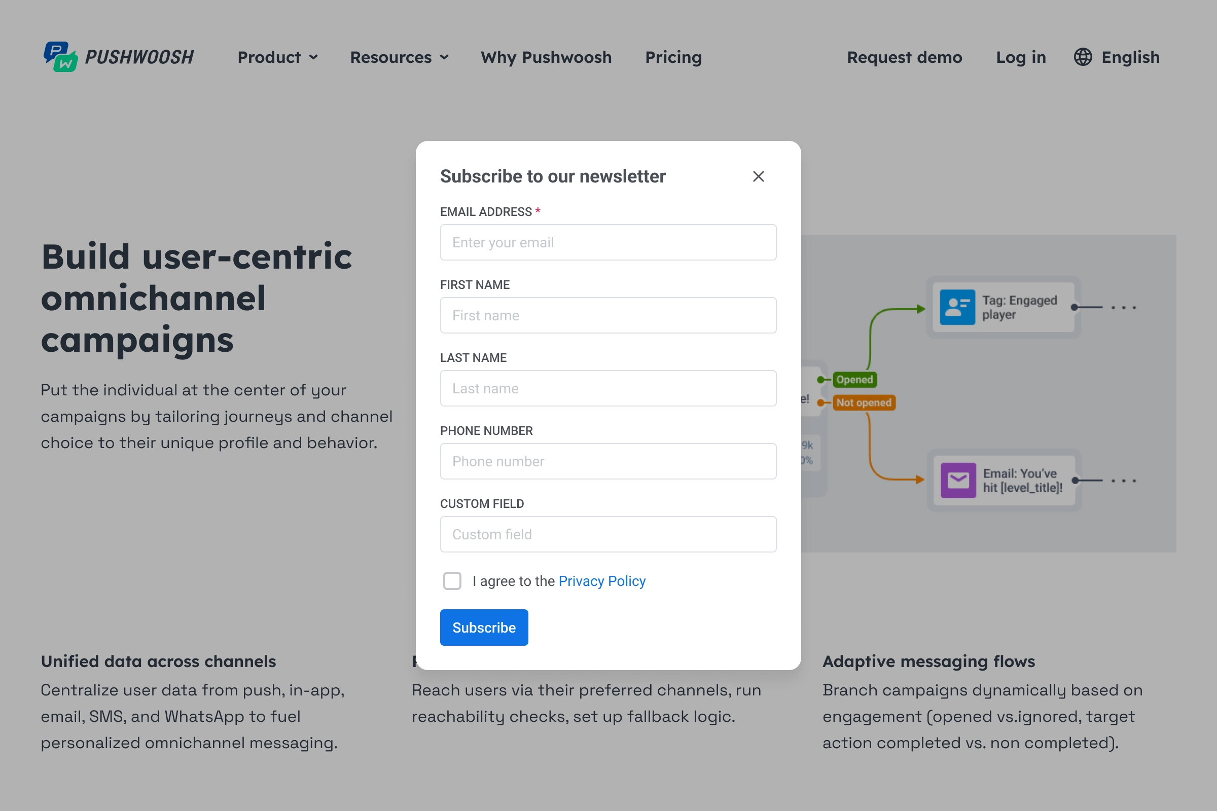 Modal newsletter signup overlay on a webpage with email, name, phone fields, privacy policy checkbox, and Subscribe