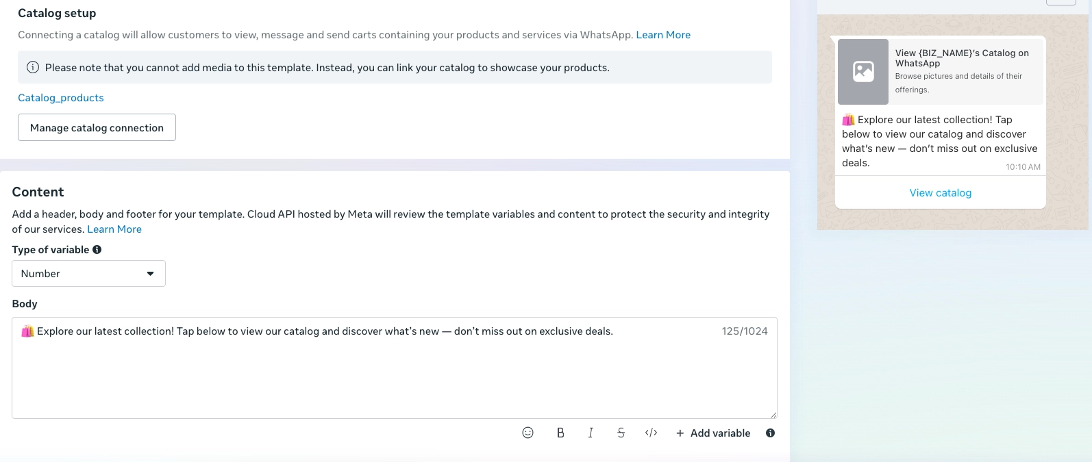 Template editor showing message body field and catalog setup section